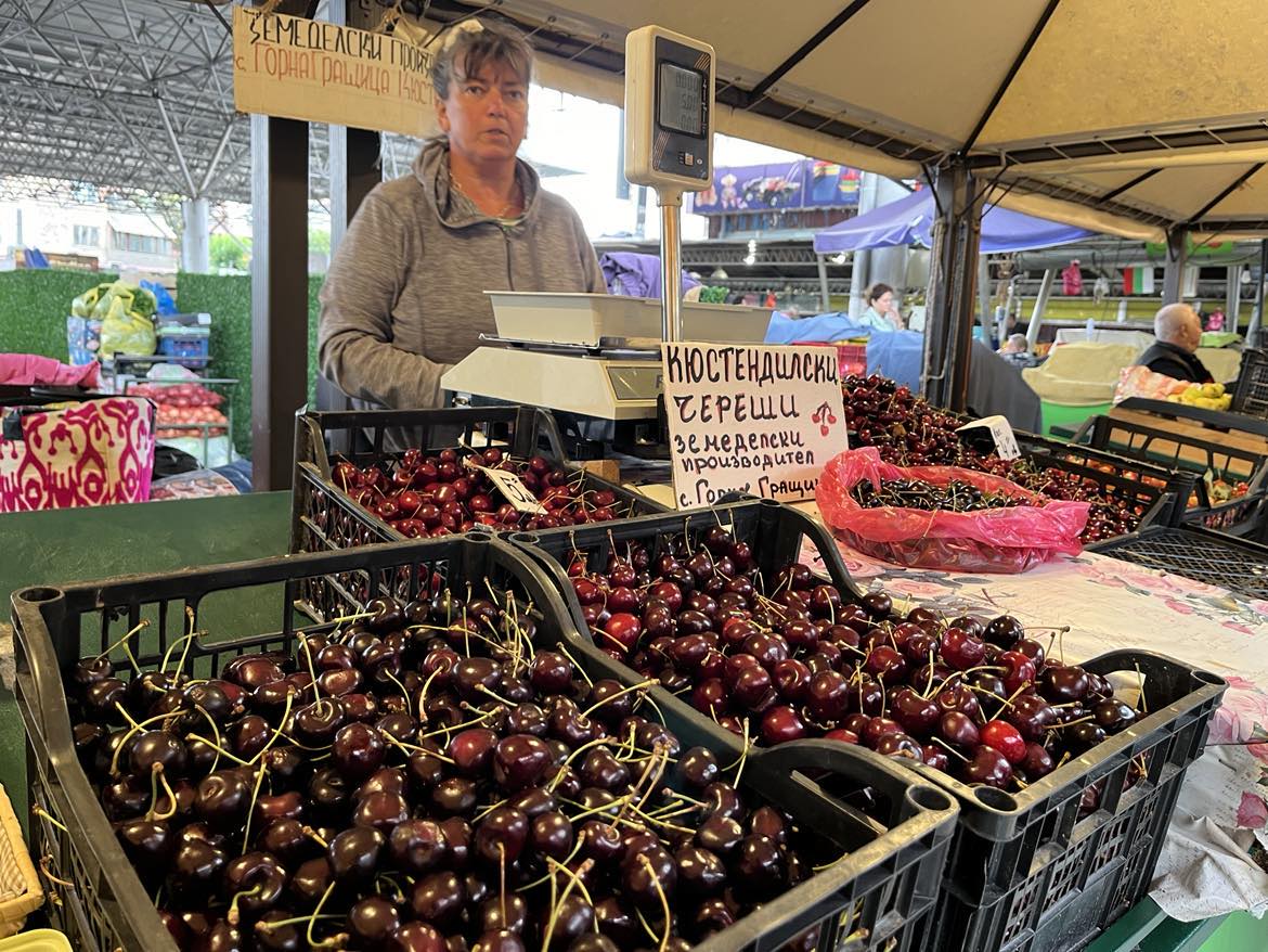 плодове експерт