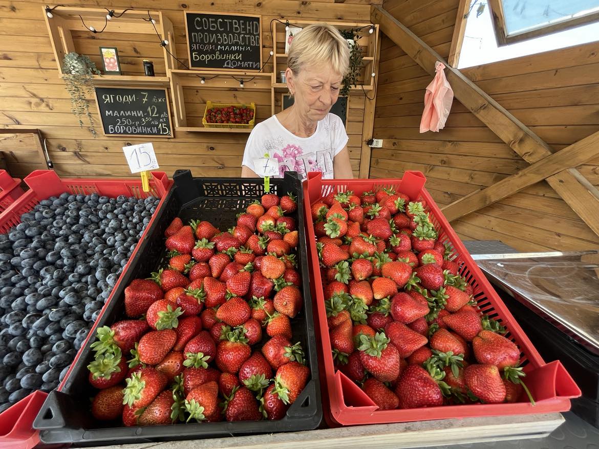 плодове експерт