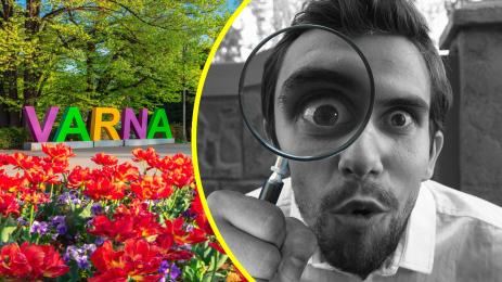 Варна мацета