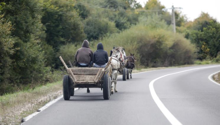 каруца - ДИВИЯ ЮГОЗАПАД: Каруца прати двама в Спешното