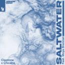 Claptone x Chicane ft. Moya Brennan - Saltwater