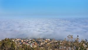 Варна мъгла