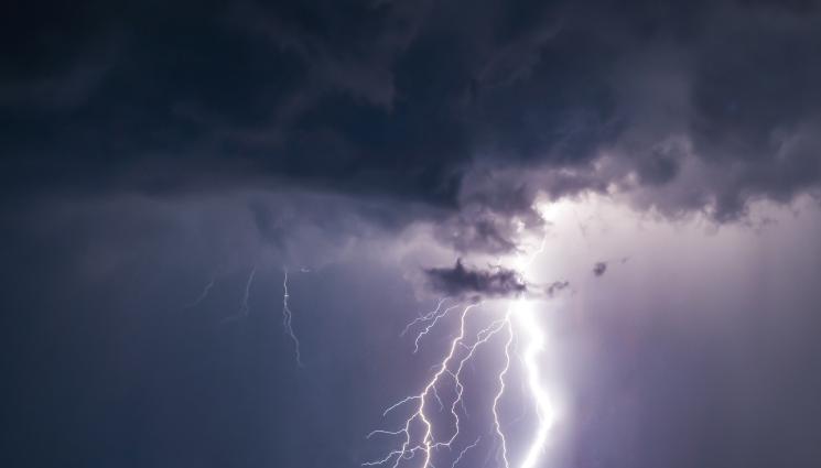 буря градушка - ТРАГЕДИЯ В ЗООПАРКА: Удари мълния, има ранени деца! (СНИМКИ)