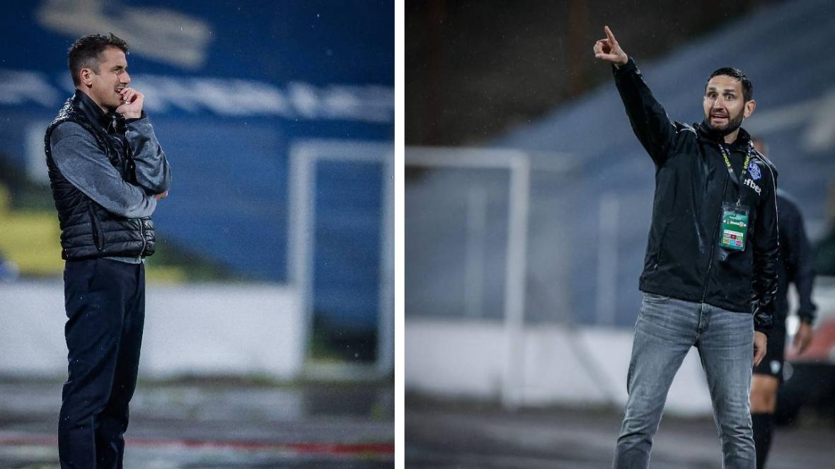 Левски Арда