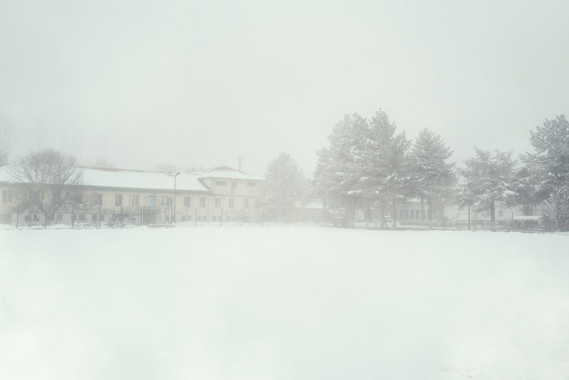 Владо Карамазов