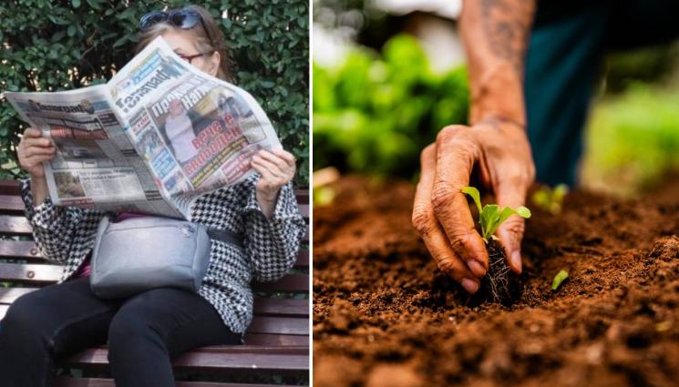 д - Не пропускайте новия брой на приложението на вестник 