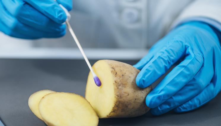 картоф - Агро Телеграф: Учени разкодираха генома на картофите