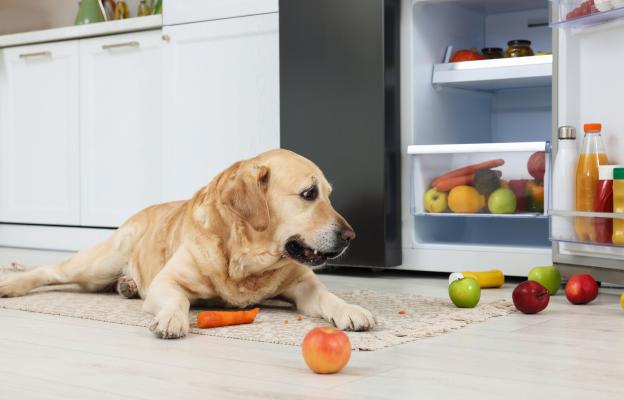 куче плодове