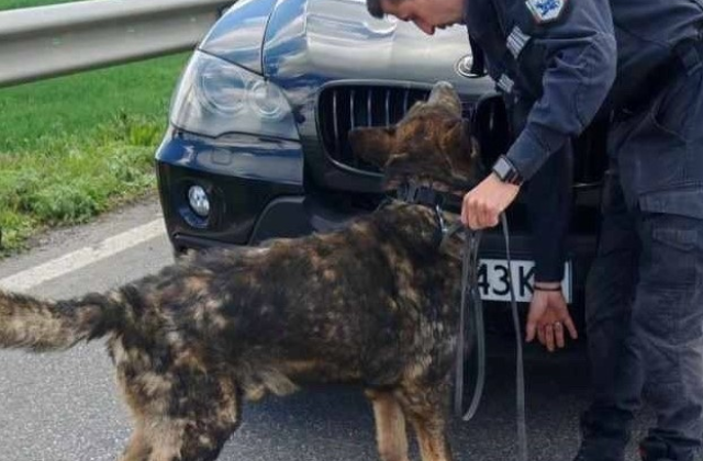 Иззеха 2 килограма наркотици в София съобщиха от полицията МВРДействията по