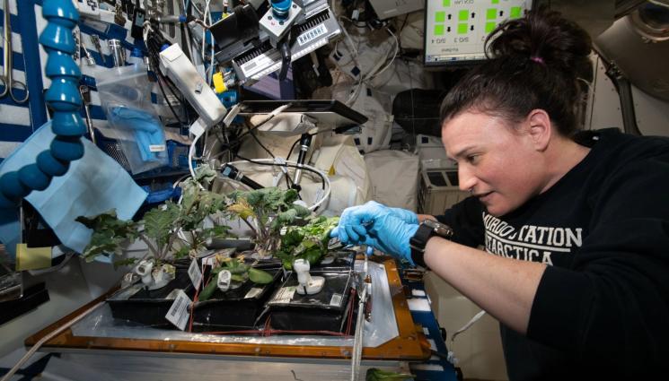 здраве - ЗДРАВЕ с Телеграф: Учени добиват витамини в Космоса