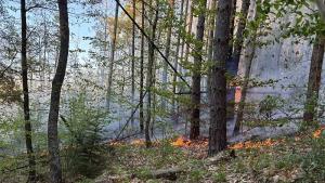 пожар в района на Невестино