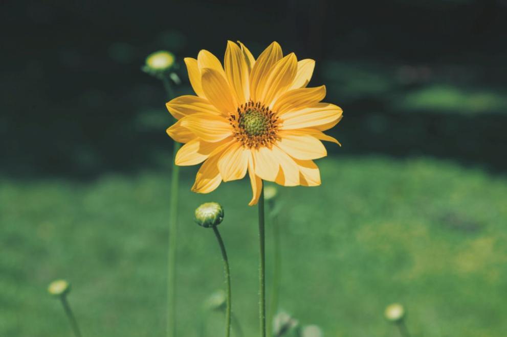 В петък ни очаква предимно слънчево време, съобщават от НИМХ.