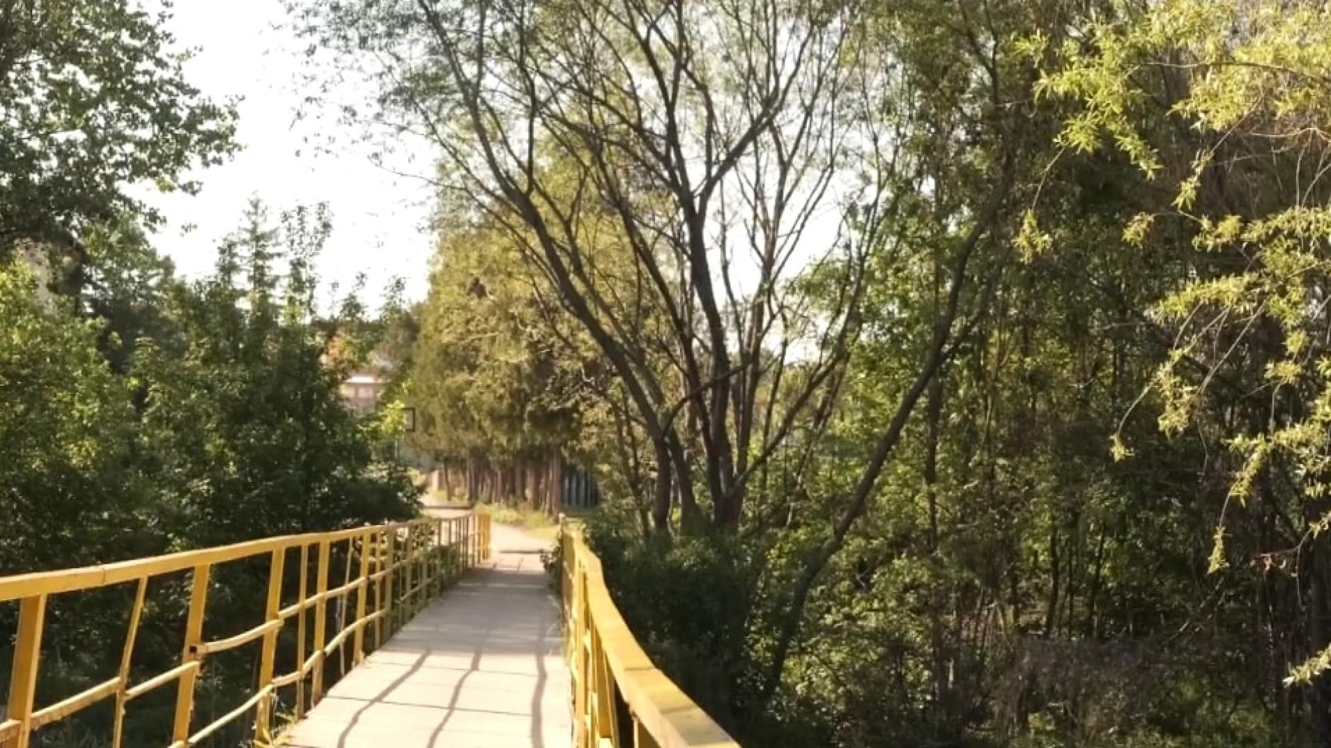 Дете беше пребито и хвърлено от мост в Луковит Извършителят