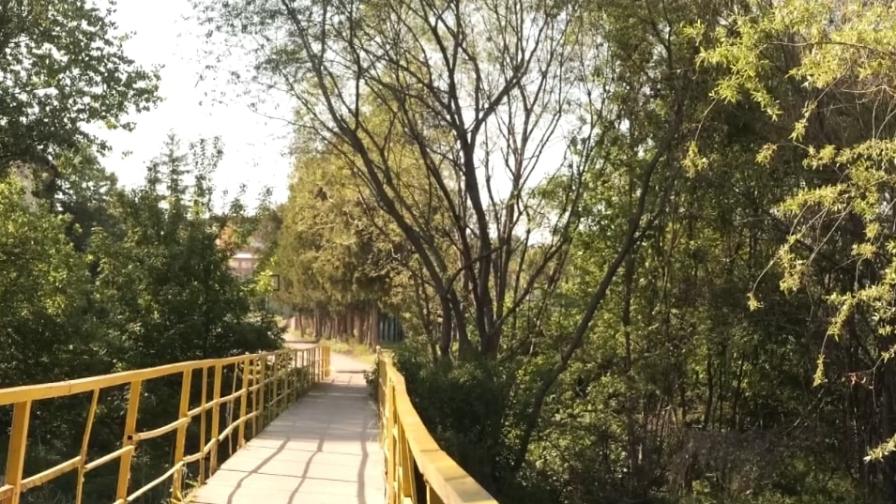 <p>Детето, хвърлено от мост: Полетях и не знаех къде съм</p>