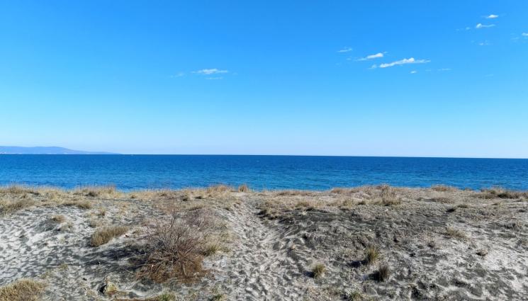 черноморие - ПРЕДИ СЕЗОНА: Мазутни образования заливат БГ плажове!