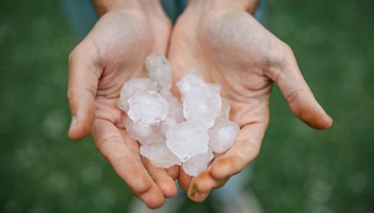 агро - Агро Телеграф: Влизаме в сезона на градушките