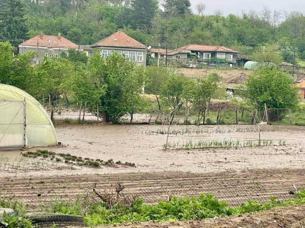 Силният дъжд, който е валял снощи, е наводнил улици, къщи