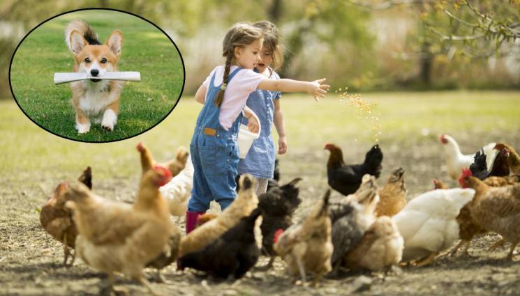 д - Родители масово пращат децата си в трудови лагери