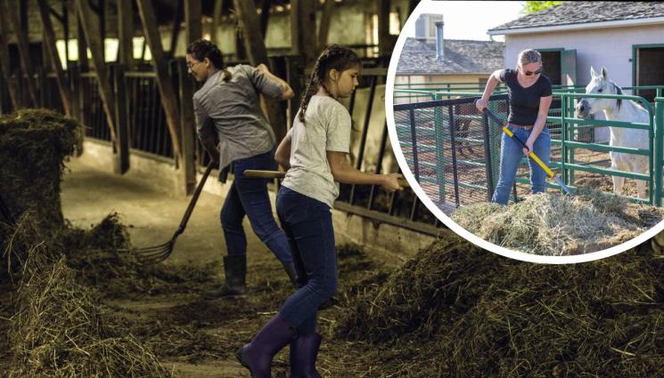 в - НОВА МОДА ЗА ЛЯТОТО: Тийнейджъри ринат тор за 500 лв.!