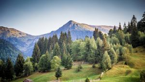 планината Марамуреш