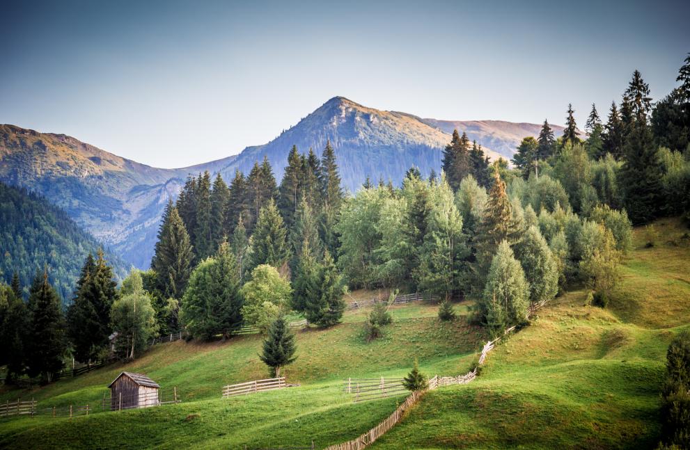планината Марамуреш