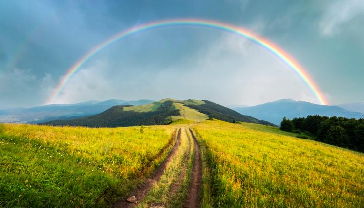 дъга - ДА МИНЕШ ПОД ДЪГАТА: Звездни отрочета си сменят пола!
