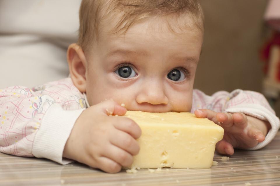 млечни продукти 3