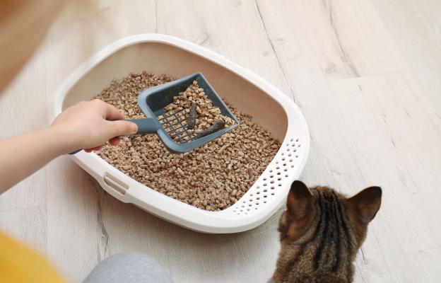 Котешка тоалетна