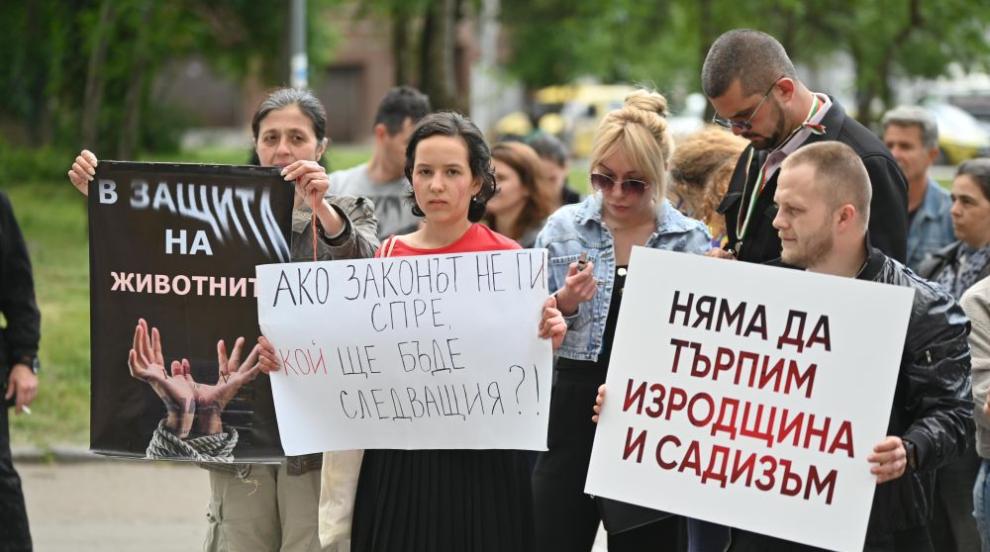 Защитници на животните се събраха на протест в София (СНИМКИ)