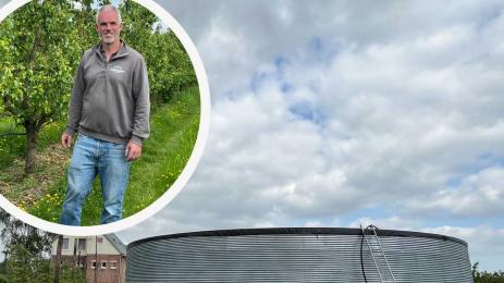 Барт Ставесхоф