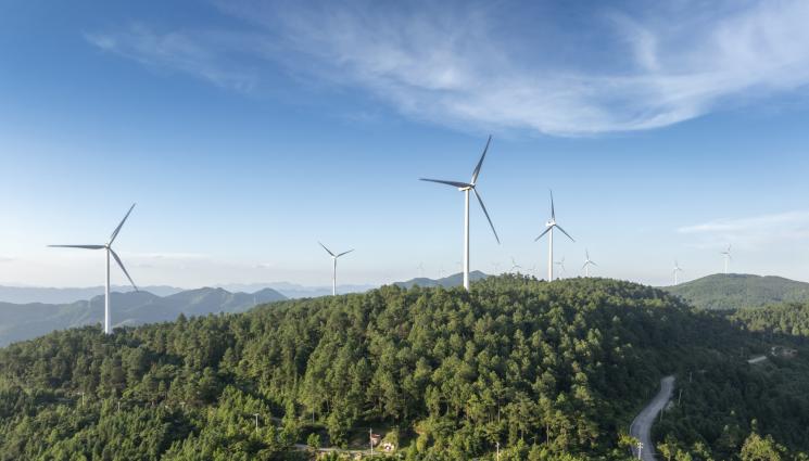 ветропарк - Спасиха 200 декара гора, спряха изграждането на ветропарк