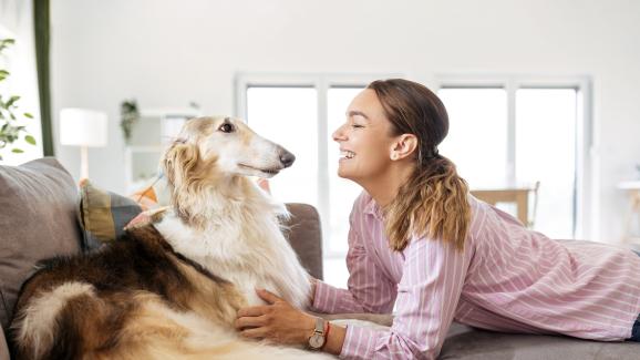 10 породи кучета, които са необичайно тихи