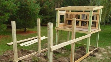 кокошарник