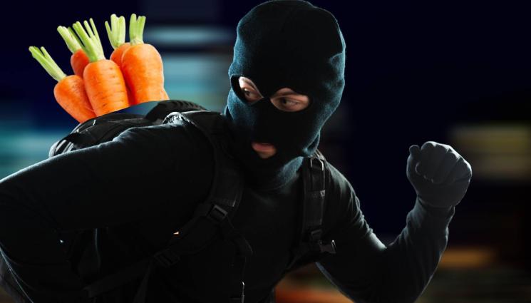 крадец моркови - ДА БИ МИРНО СЕДЯЛО...: Крадец на моркови ще търка нара 2 години