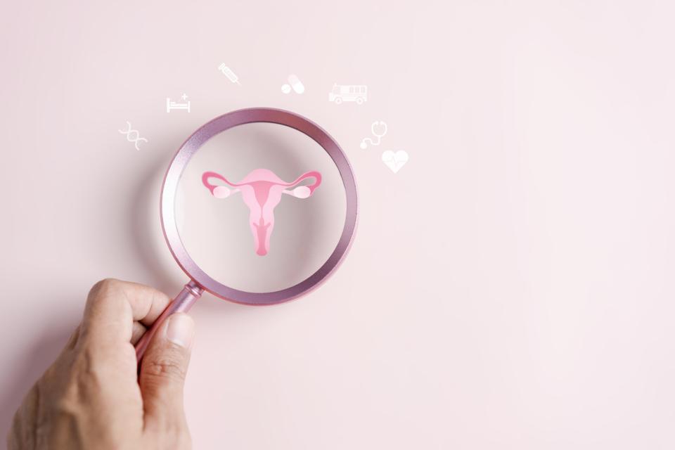 цервикална слуз и овулация 2