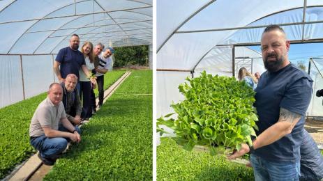 цветан филев