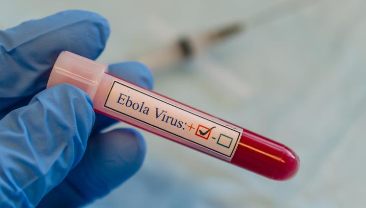 ебола - ИДВА ЛИ НОВА ПАНДЕМИЯ? Еболата се завърна в Европа!