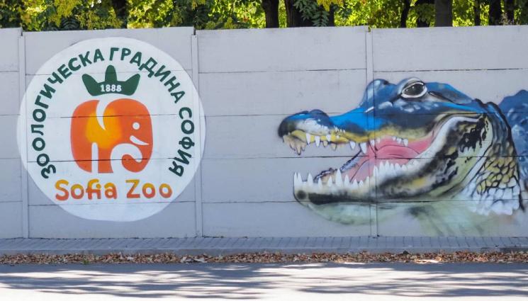 Зоопарк София - Бебе от критично застрашен вид се роди в Софийския зоопарк (СНИМКИ)