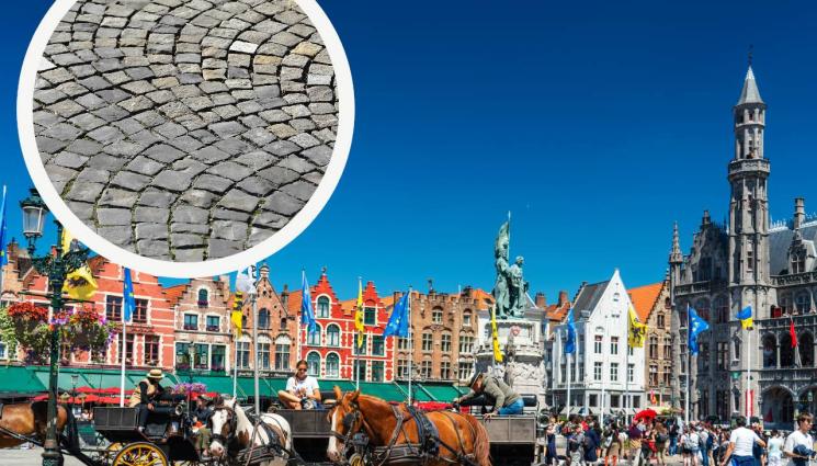 брюж павета - БРЮЖ С ОТЧАЯН ПРИЗИВ КЪМ ТУРИСТИТЕ: Моля, не крадете павета!