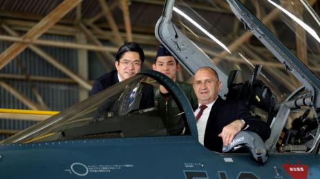 радев синя оса