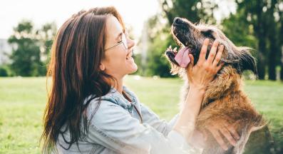 куче човек обич