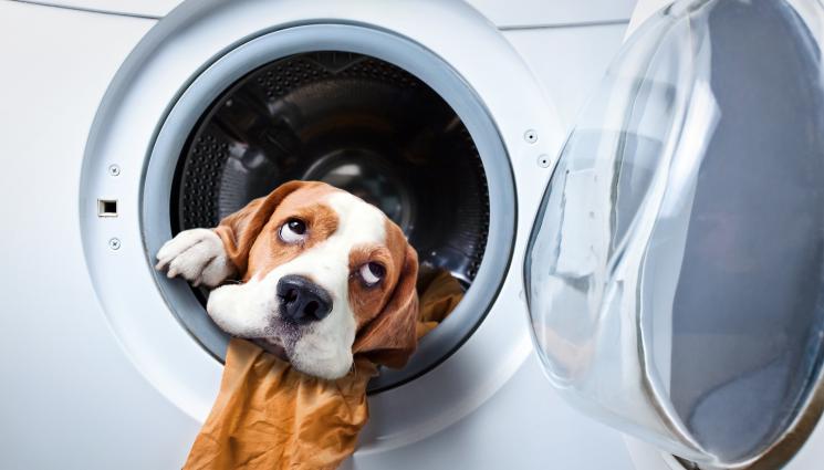 пералня - ПРАКТИЧНИ СЪВЕТИ: Топка фолио в пералнята – и дрехите не се мачкат