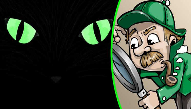 котарак детектив - ЦЯЛАТА ДЪРЖАВА ТЪРСИ ИЗБЯГАЛО КОТЕ, собствениците ръсят хилядарки да го открият! (СНИМКИ)