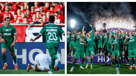 Лудогорец купа