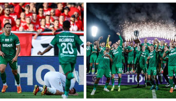 Лудогорец купа