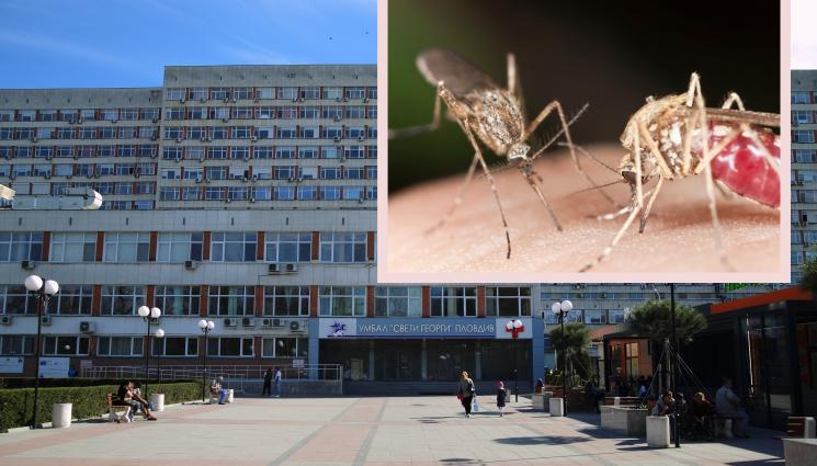 болниац - УЖАС: Българин с опасна тропическа болест!