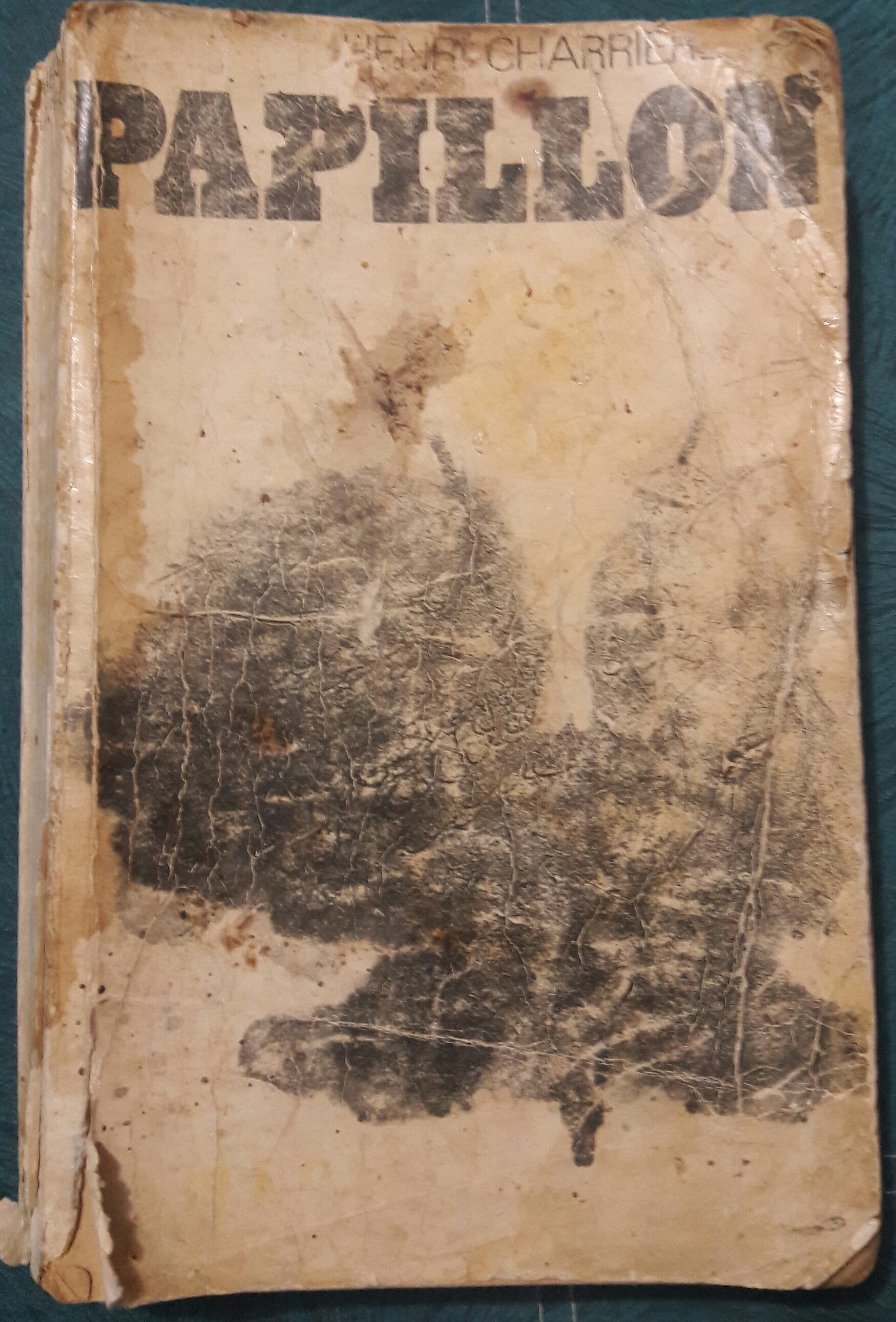 Роман Папийон