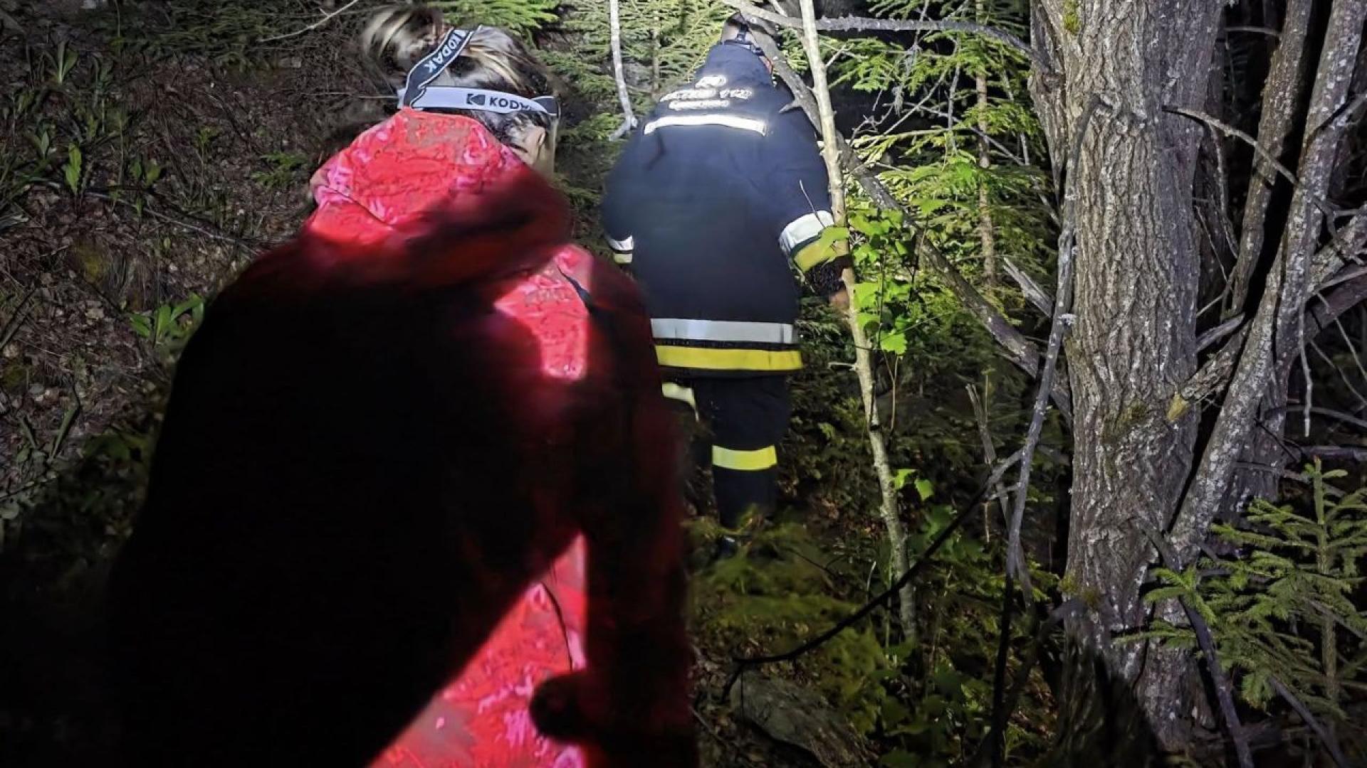 Доброволци от няколко различни формирования откриха тялото на издирван мъж