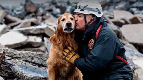 куче Килиан