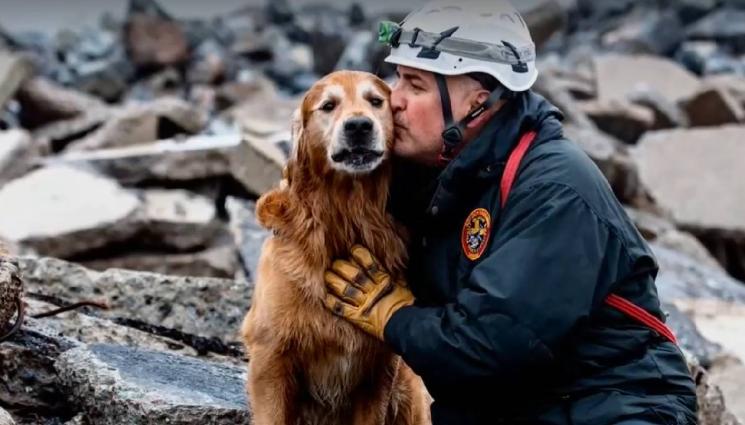 куче Килиан - ПОКЛОН: Почина българското спасително куче, открило 18 души в Турция (ВИДЕО)